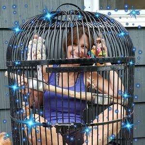 Meet your Posher, Robin